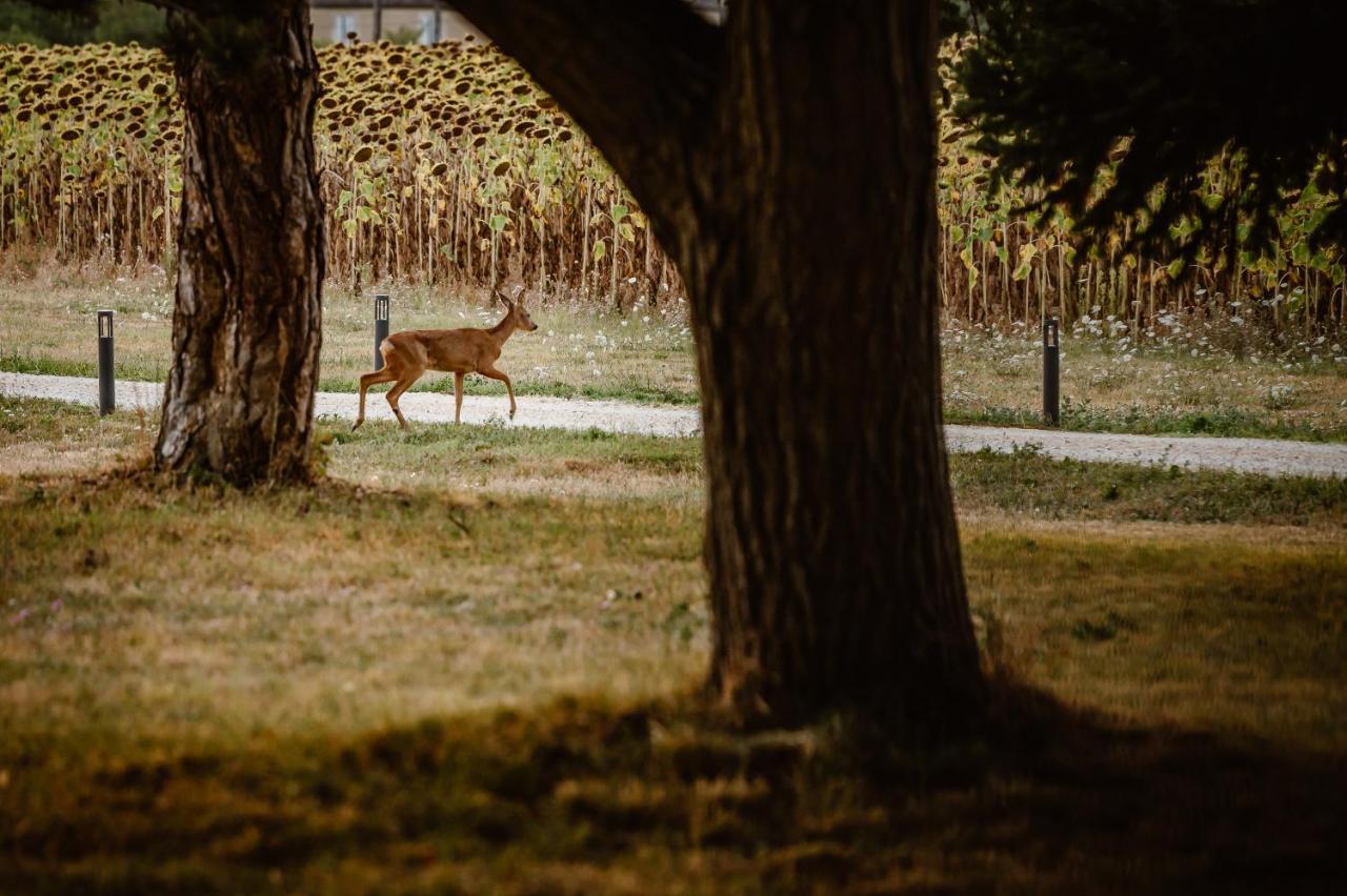Domaine De Boulouch Hotel Lectoure Bagian luar foto