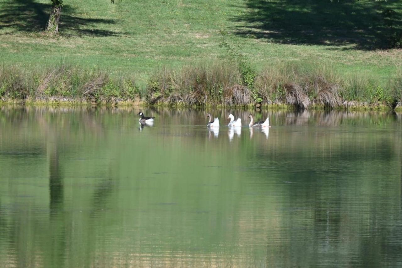 Domaine De Boulouch Hotel Lectoure Bagian luar foto